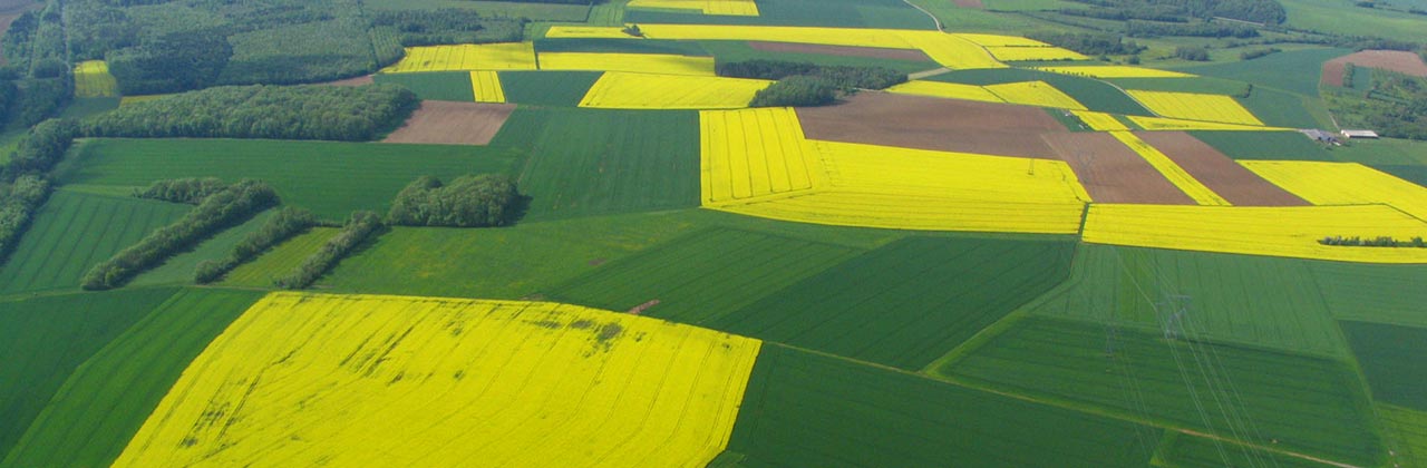  aerial-photo-rapeseed-fields.jpg